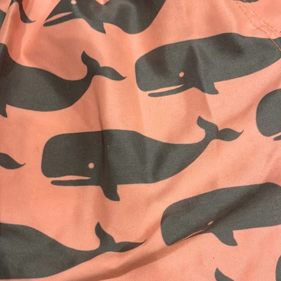 Snapperrock Boys swim shorts bathing suit, size 1-2 yr - Picture 3 of 4